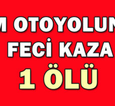 TEM OTOYOLUNDA FECİ KAZA: 1 ÖLÜ