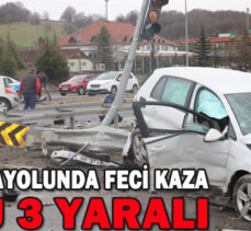 D 100 KARAYOLUNDA FECİ KAZA: 1 ÖLÜ,3 YARALI