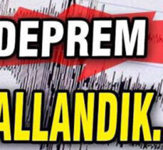 SALLANDIK!