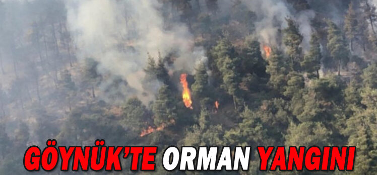 GÖYNÜK’TE ORMAN YANGINI