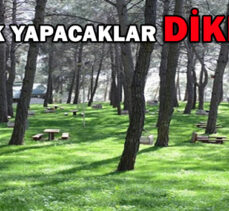 PİKNİK YAPACAKLAR DİKKAT