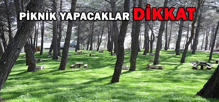 PİKNİK YAPACAKLAR DİKKAT