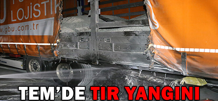 TEM’DE TIR YANGINI