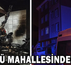 GÖLYÜZÜ MAHALLESİNDE YANGIN