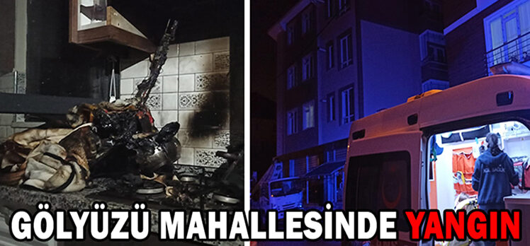 GÖLYÜZÜ MAHALLESİNDE YANGIN