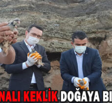 650 KINALI KEKLİK DOĞAYA BIRAKILDI