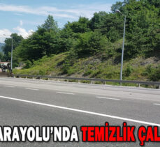 D 100 KARAYOLU’NDA TEMİZLİK ÇALIŞMASI