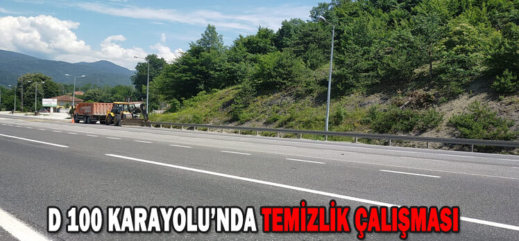 D 100 KARAYOLU’NDA TEMİZLİK ÇALIŞMASI