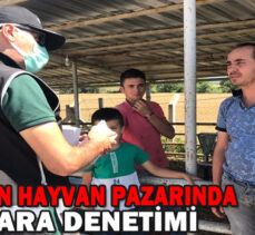 Emniyetten  hayvan pazarında sahte para denetimi