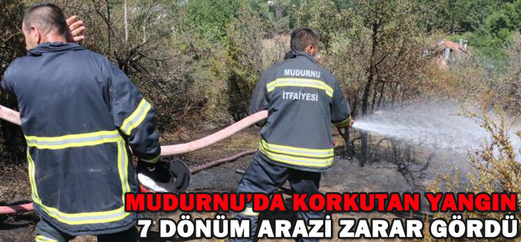 MUDURNU’DA KORKUTAN YANGIN