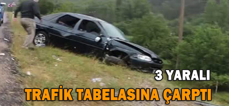 TRAFİK TABELASINA ÇARPTI