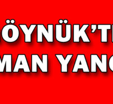 GÖYNÜK’TE  ORMAN YANGINI