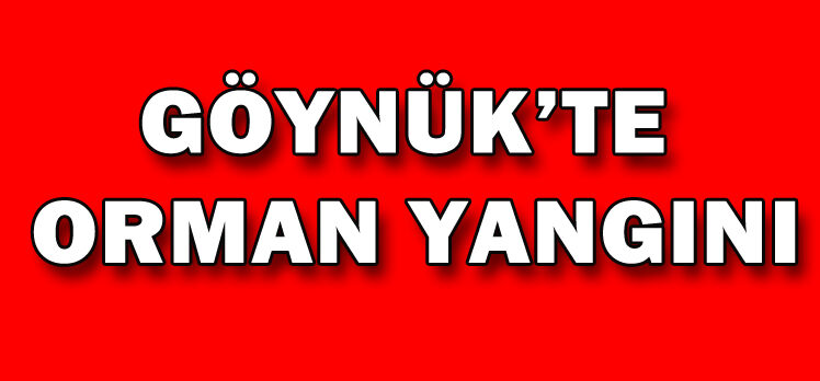 GÖYNÜK’TE  ORMAN YANGINI