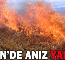 SEBEN’DE ANIZ YANGINI