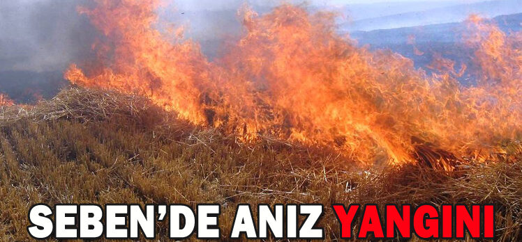 SEBEN’DE ANIZ YANGINI