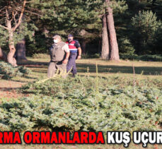 JANDARMA ORMANLARDA KUŞ UÇURTMUYOR