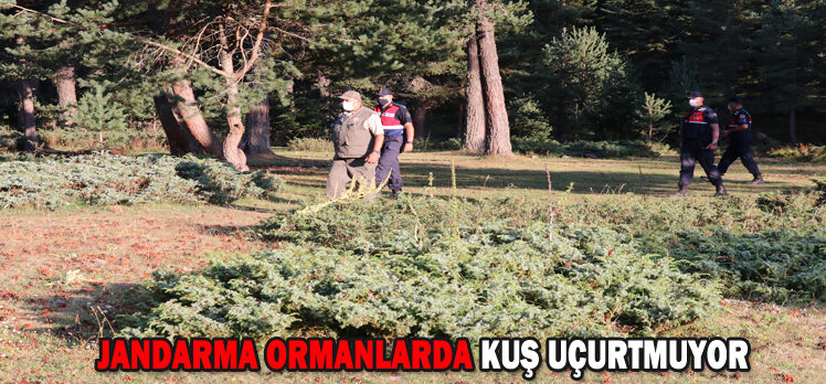 JANDARMA ORMANLARDA KUŞ UÇURTMUYOR