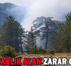 1 HEKTARLIK ALAN ZARAR GÖRDÜ