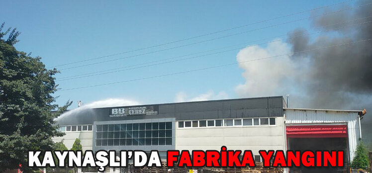 KAYNAŞLI’DA FABRİKA YANGINI