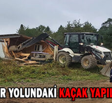 YEDİGÖLLER YOLUNDAKİ KAÇAK YAPILAR YIKILDI