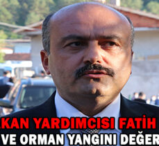 BAKAN YARDIMCISI FATİH METİN’DEN SEL VE ORMAN YANGINI DEĞERLENDİRMESİ