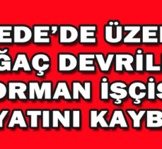 GEREDE’DE ÜZERİNE  AĞAÇ DEVRİLEN ORMAN İŞÇİSİ HAYATINI KAYBETTİ