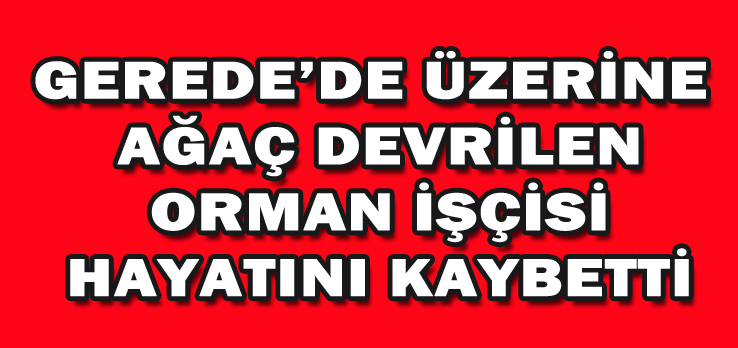 GEREDE’DE ÜZERİNE  AĞAÇ DEVRİLEN ORMAN İŞÇİSİ HAYATINI KAYBETTİ