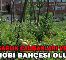 Sağlık çalışanları ve hastalar hobi bahçesi oluşturdu