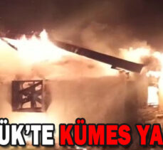 GÖYNÜK’TE KÜMES YANGINI