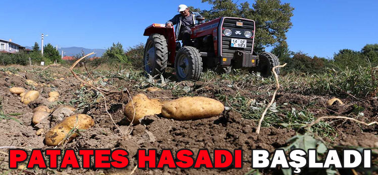 PATATES HASADI BAŞLADI