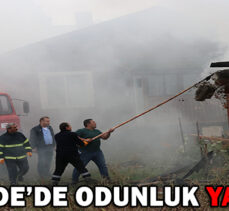 GEREDE’DE ODUNLUK YANGINI