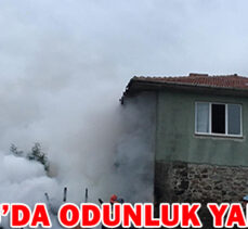 BOLU’DA ODUNLUK YANGINI