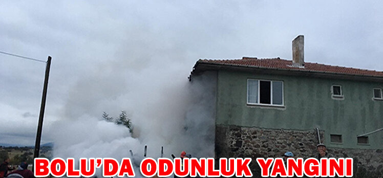 BOLU’DA ODUNLUK YANGINI