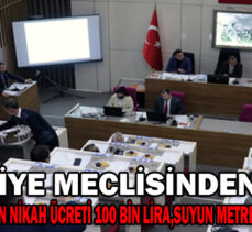 BELEDİYE MECLİSİNDEN GEÇTİ