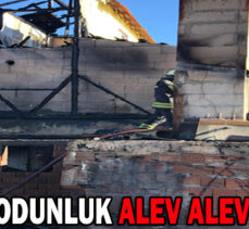 EV VE ODUNLUK ALEV ALEV YANDI