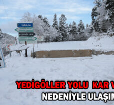 YEDİGÖLLER YOLU  KAR VE BUZLANMA             NEDENİYLE ULAŞIMA KAPATILDI