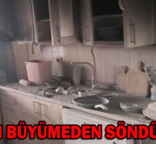 YANGIN BÜYÜMEDEN SÖNDÜRÜLDÜ