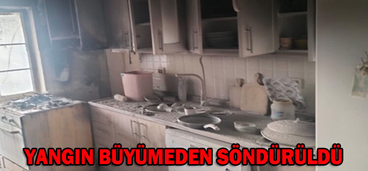 YANGIN BÜYÜMEDEN SÖNDÜRÜLDÜ